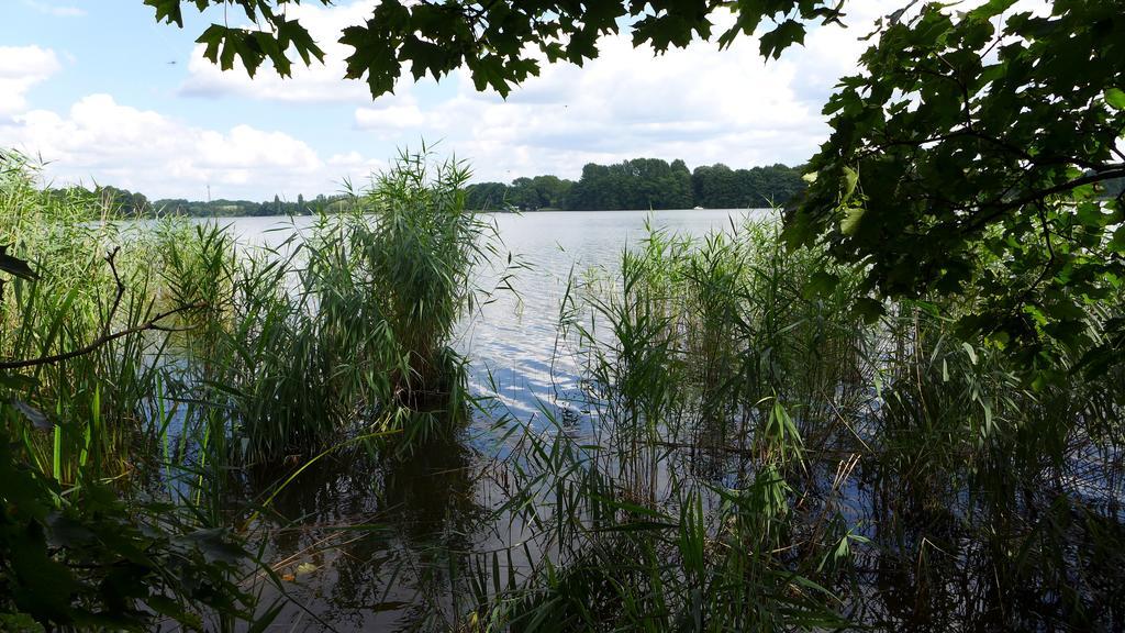 Ferienhaus Natura Neuruppin Δωμάτιο φωτογραφία