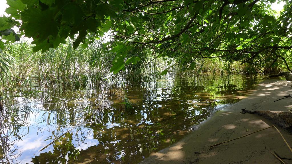Ferienhaus Natura Neuruppin Δωμάτιο φωτογραφία
