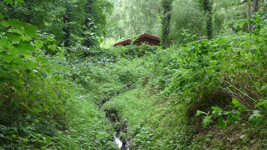 Ferienhaus Natura Neuruppin Δωμάτιο φωτογραφία